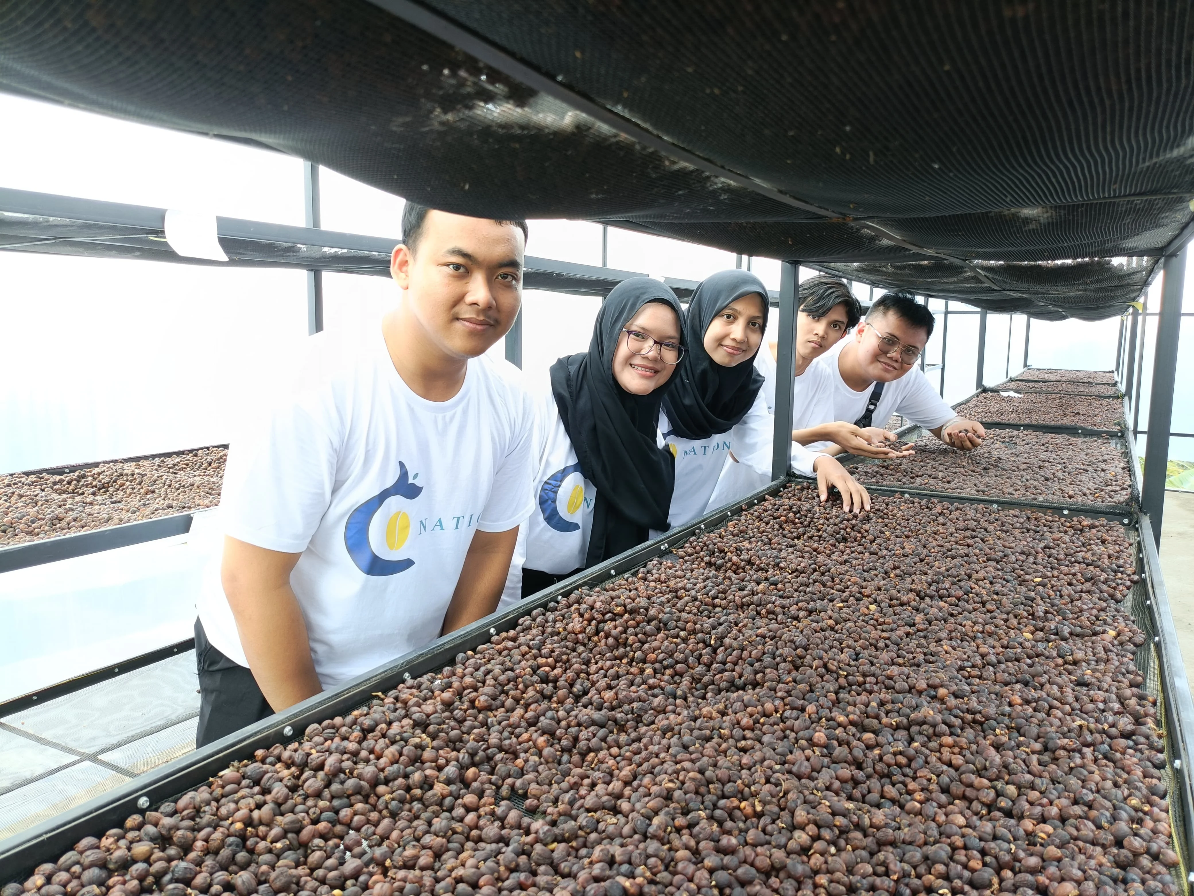 Green Coffee Bean Processing Standard