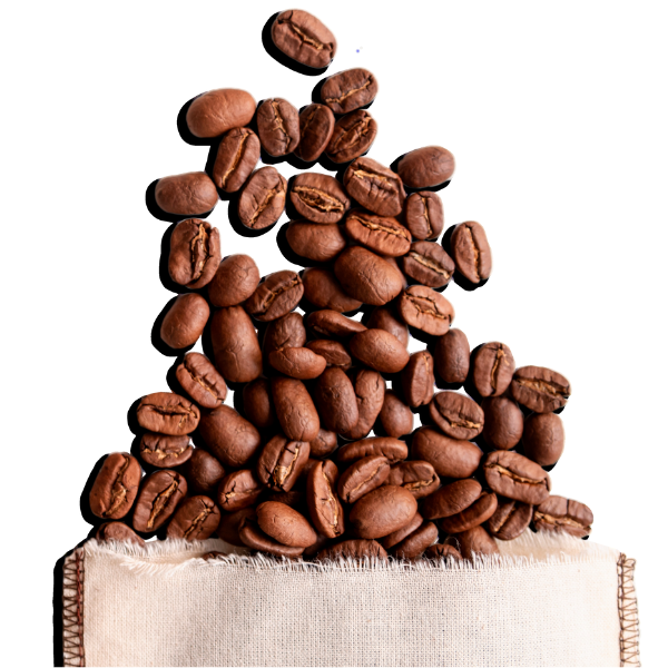 Robusta