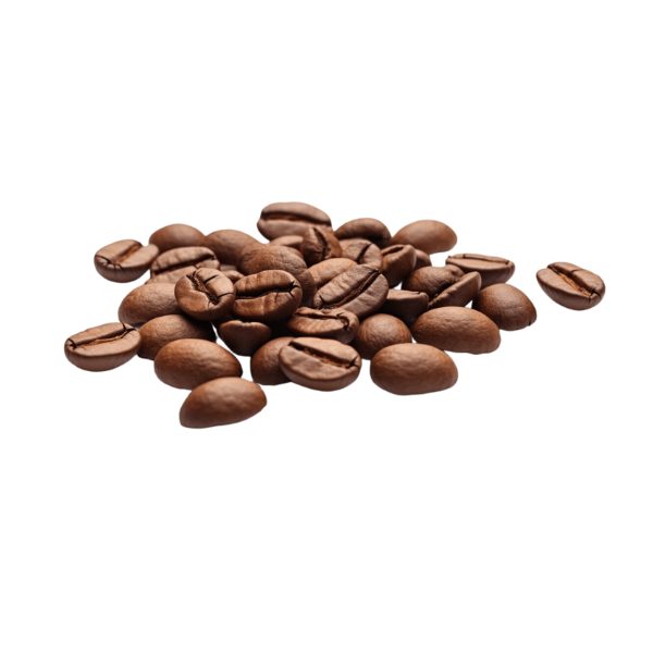 Gayo